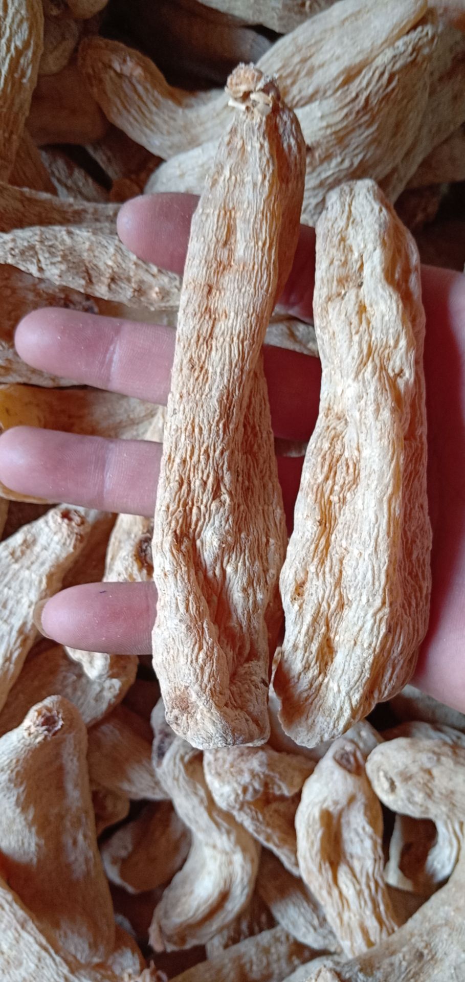 精品天麻(可免费磨粉)