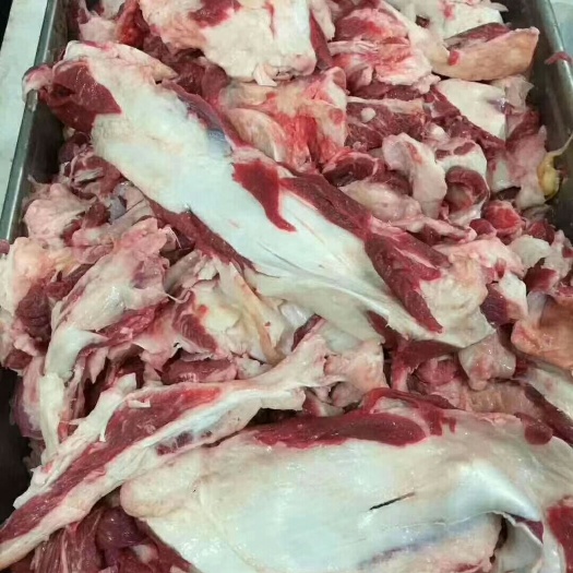 阳信县牛筋  纯干牛肉筋 ，质量高，，无调理，纯干货。