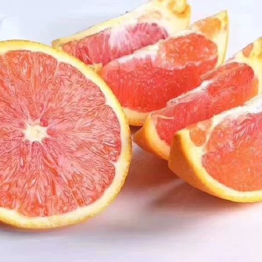 瑞金市血橙苗 赣南脐橙苗 红肉脐橙苗