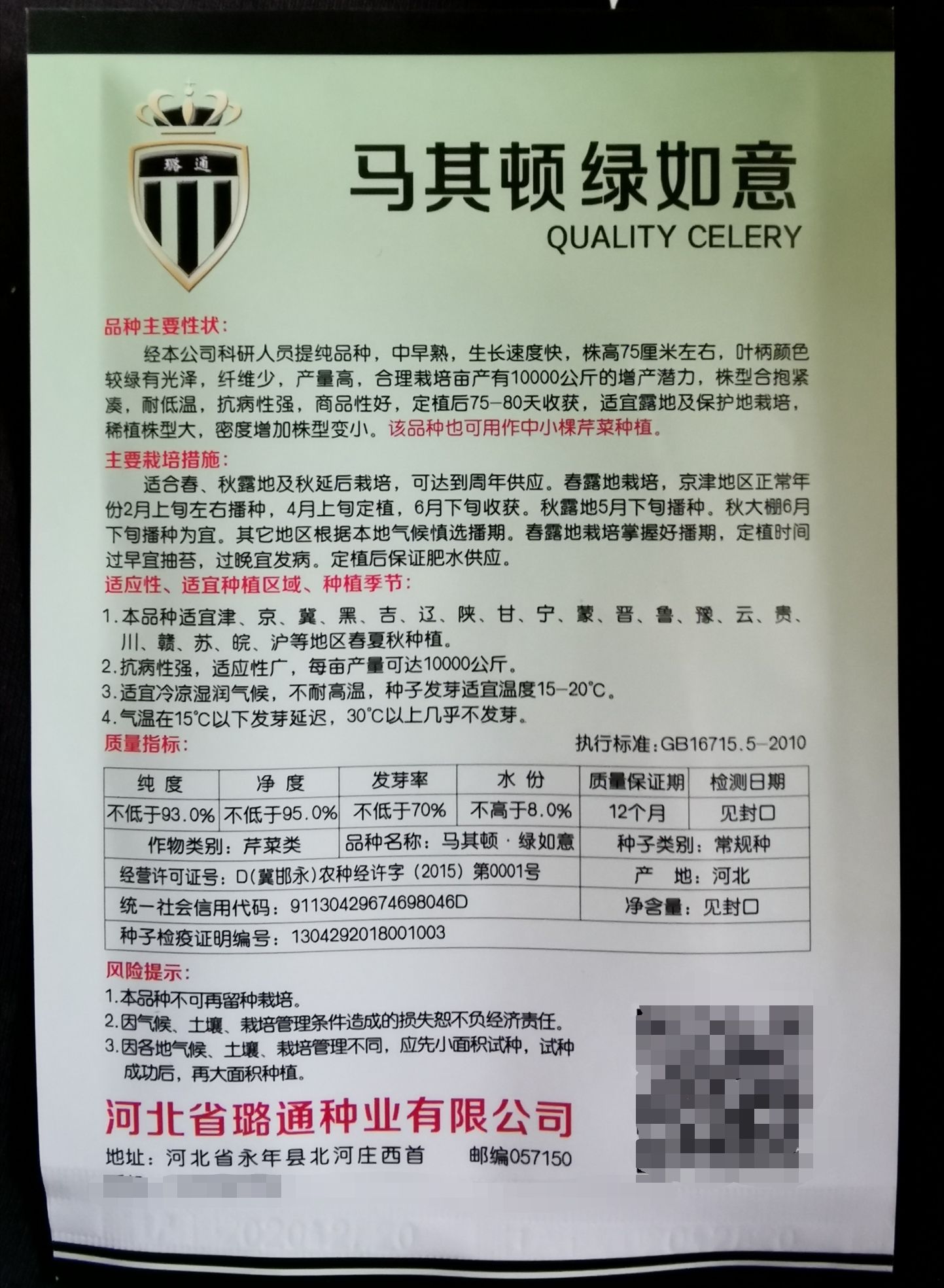 马其顿绿如意西芹种子  颜色绿 产量高 家庭菜园基地蔬菜种