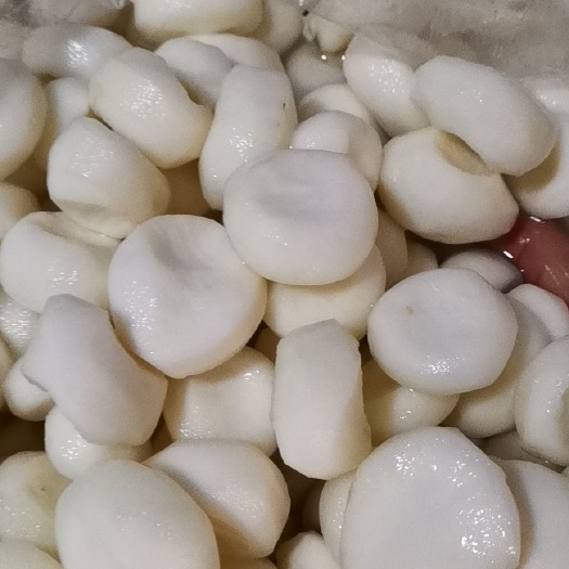 广州马蹄肉（削皮马蹄）