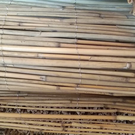 玉田县干芦苇  质量是根本。现在开始发货，欢迎下单