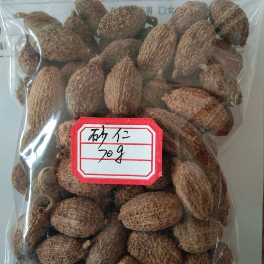 罗定市 【买三送一】天然春砂仁 60-70克/袋