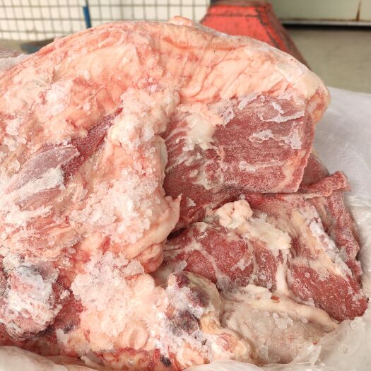  六分体冻猪肉