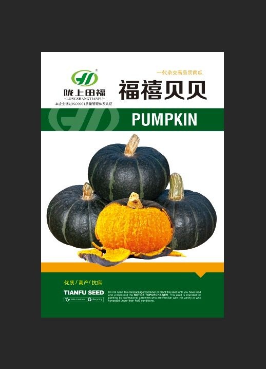 酒泉 本企业销售各类高端优质南瓜种子