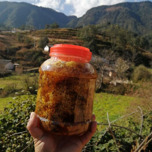 宁蒗县 天然蜂蜜