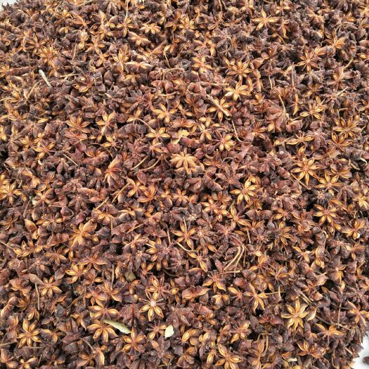 东兰县产地直销香料食品、药用品的大红干八角，快来围观吧