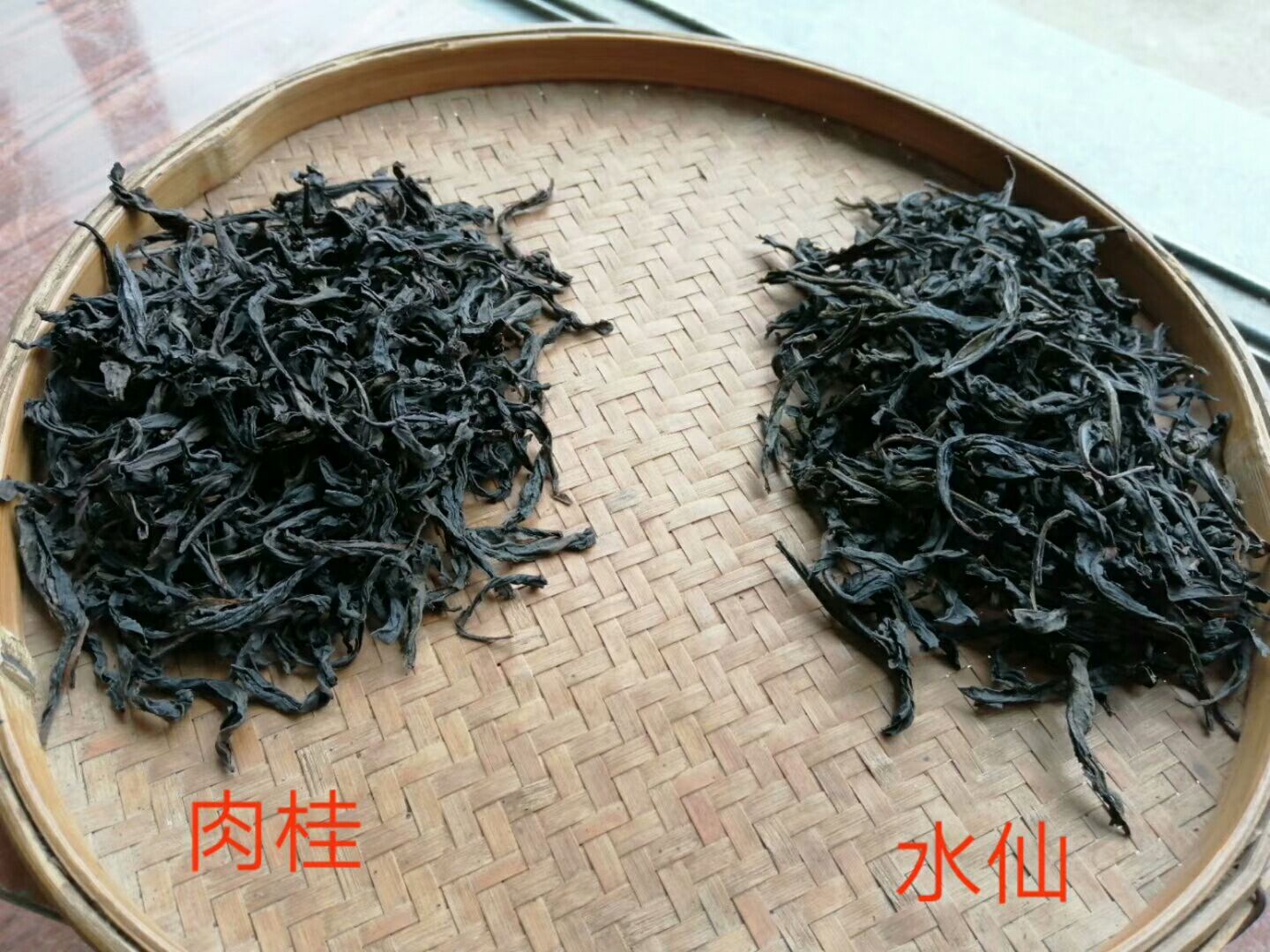 武夷岩茶 武夷茶农