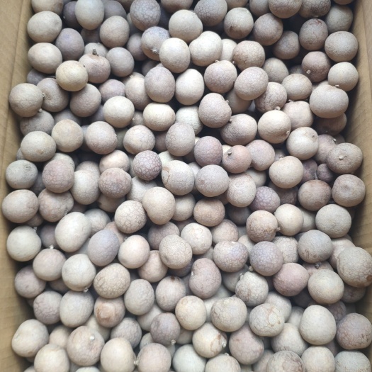 桂圆干  量多从优 龙眼干 19～22mm 颗粒均匀壳薄肉厚