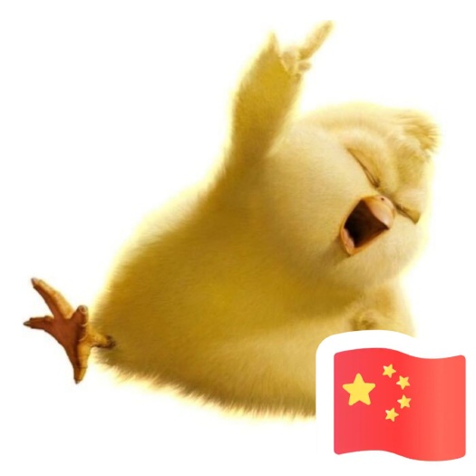 昌邑市 山东潍坊昌和禽业白羽大肉食鸡苗
