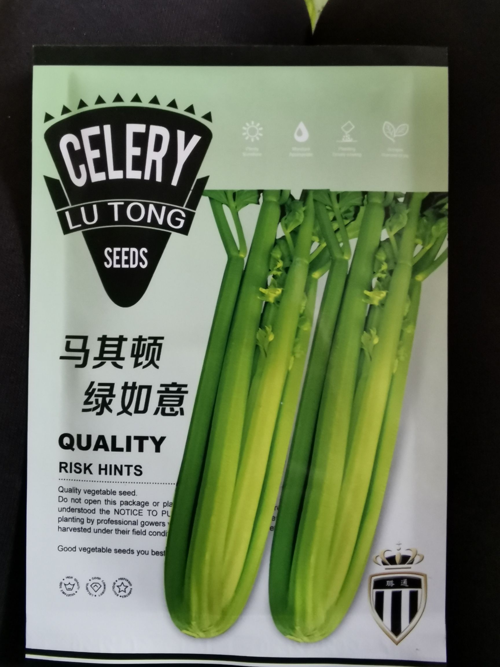 马其顿绿如意西芹种子  颜色绿 产量高 家庭菜园基地蔬菜种