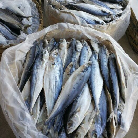 北海 小号公马鲛马鲛鱼干，深海鱼干2到4条一斤