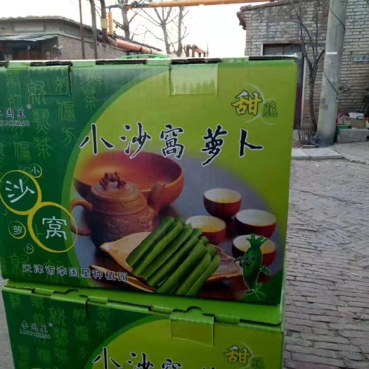 天津沙窝萝卜 1~1.5斤
