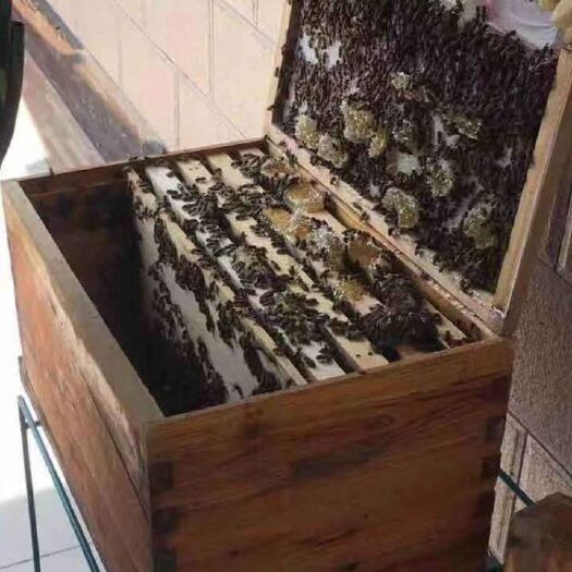廉江市冬蜜 散装 2年以上 