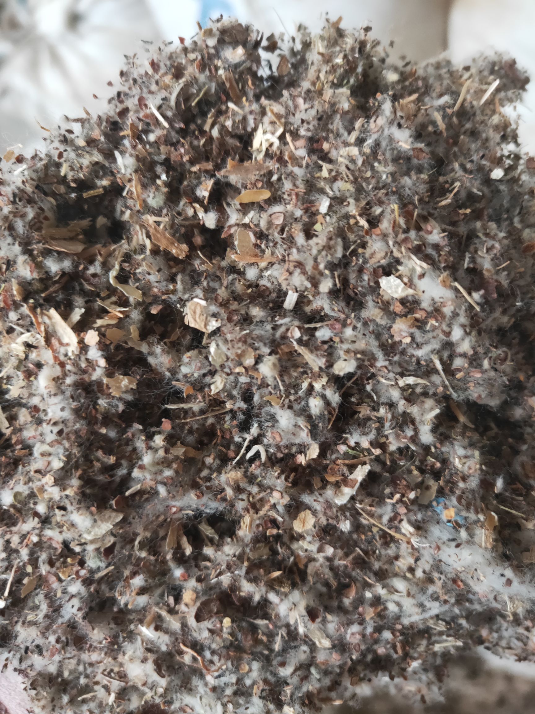 棉籽壳  棉渣
棉籽