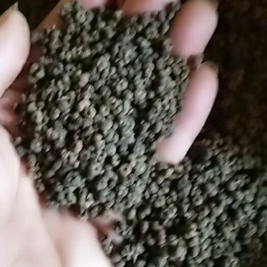 兴安县 吴茱萸中花