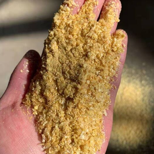 正定县玉米渣 大同小白皮