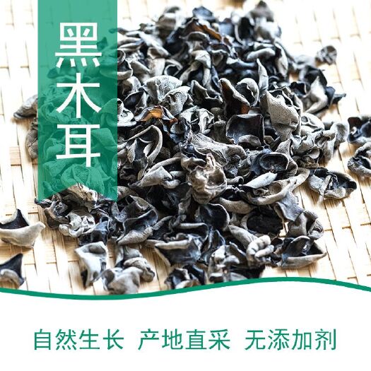 南漳县 椴木耳，深山生长，