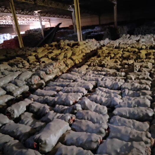 围场县 土豆三两往上的    有需要的联系我