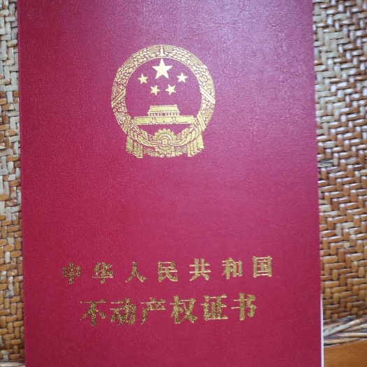 洛宁县生态园林 1508亩用材林
