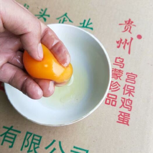 织金县 贵州宫保土鸡蛋