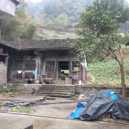 重庆市 200年祖屋金丝楠木柱子