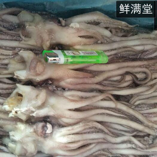 深圳 阿根廷鱿鱼须鱿鱼头新鲜速冻货 当天发货
一手货源 欢迎询价