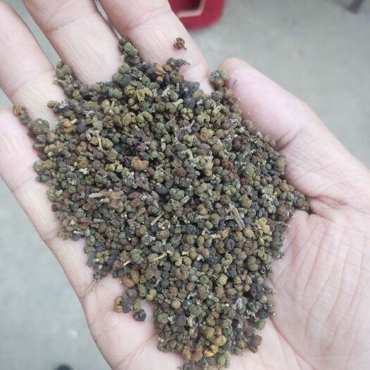 瑞昌市 江西小花吴茱萸