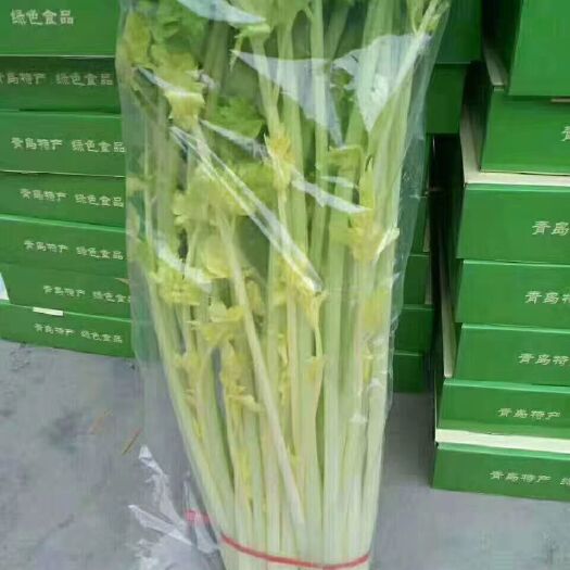 平度市马家沟芹菜 神州7号太空育种