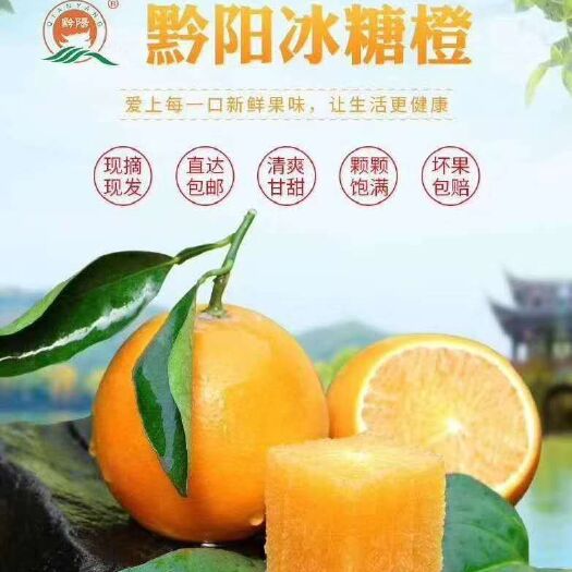 潜江市 黔阳冰糖橙🎉
精品果十斤装☞