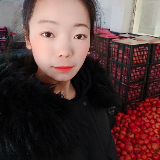 山东硬粉西红柿，基地直供，保证品质