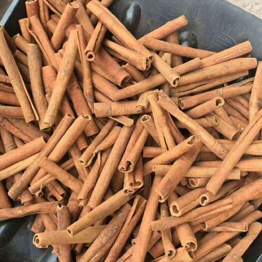 防城港 桂筒，烟仔桂，几十年深山老桂树桂皮