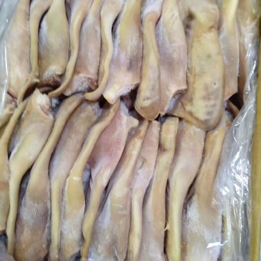 南京猪耳朵  带根猪耳 20斤