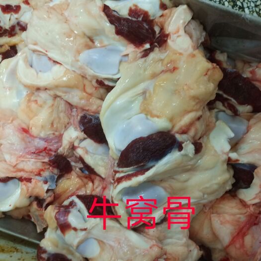 阳信县牛窝骨