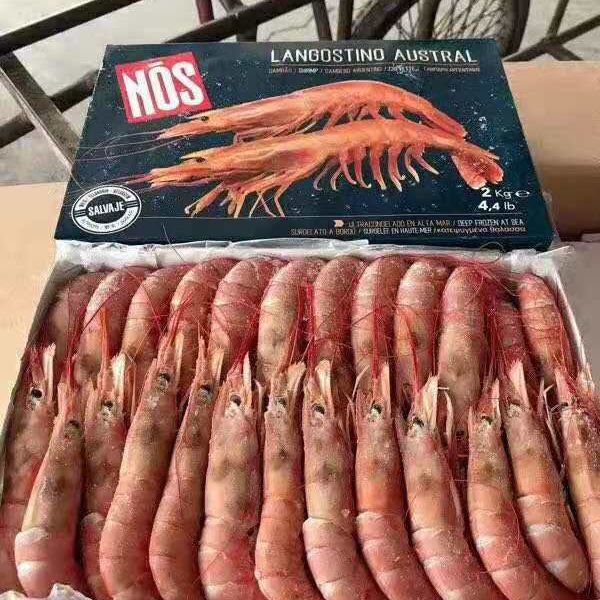  阿根廷大红虾L1规格