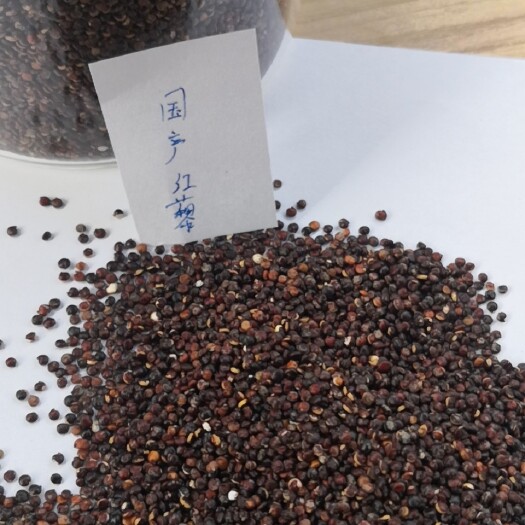 静乐县红藜麦