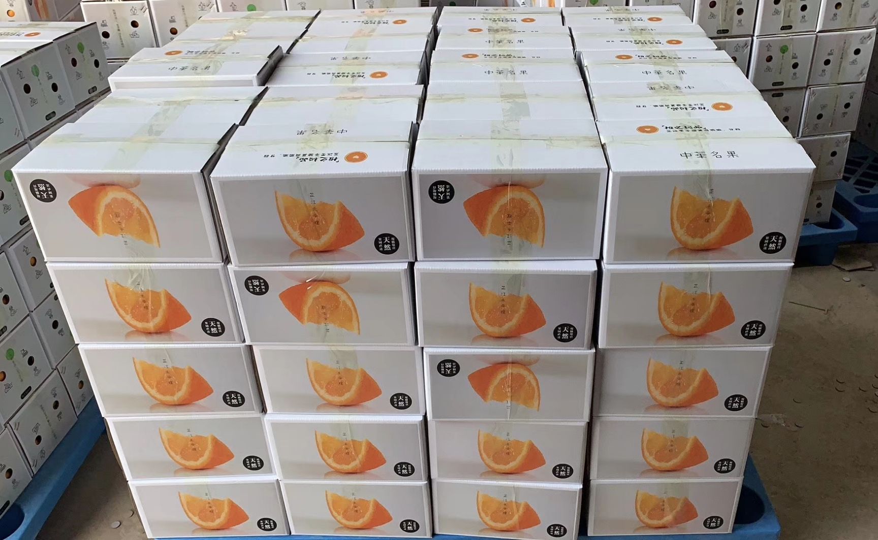  湖南怀化特产冰糖橙产地直发一件包邮