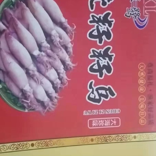 唐山冷冻海兔 海兔