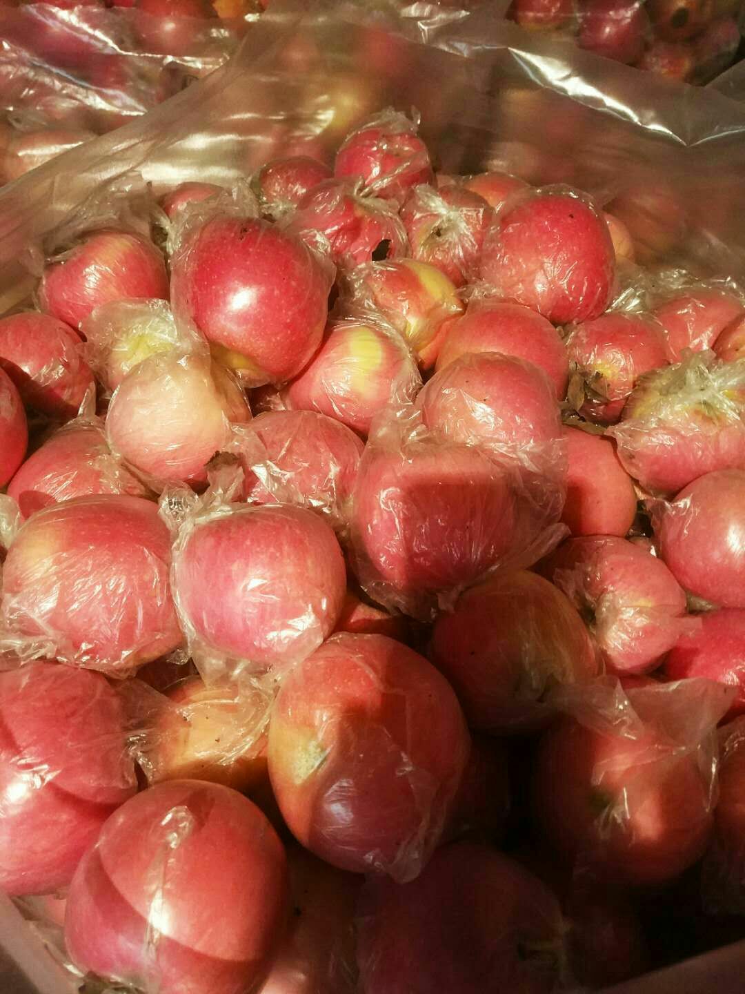 红富士苹果，全国包邮 ，每箱30元，保证质量，诚信服务