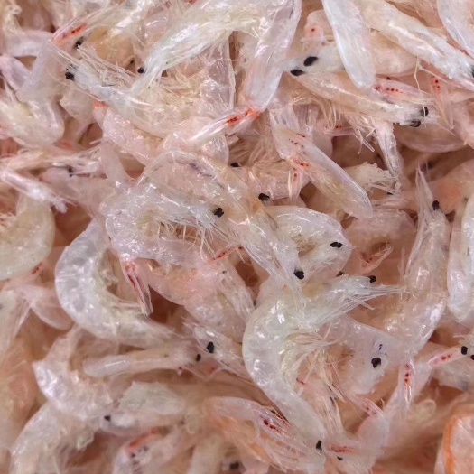 霞浦县 福建霞浦虾皮虾米