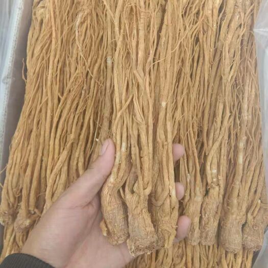 陇西县岷当归  当归有硫当归黄货