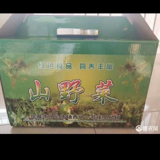 凤城市刺老芽 箱装 大棚 鲜货