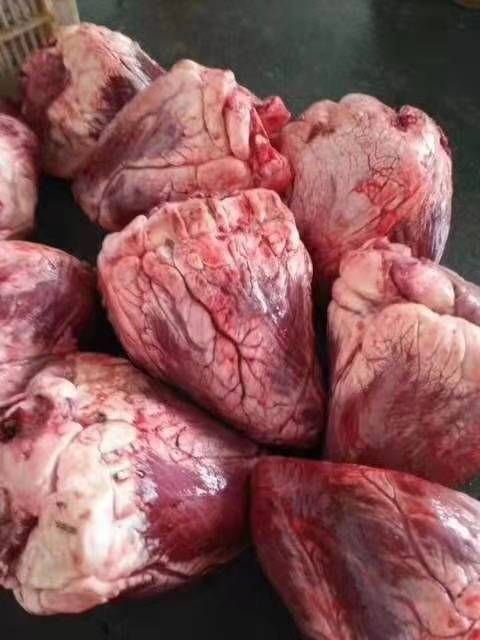 阳信县牛心