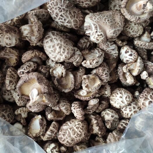 鲁山县 自家种的椴木香菇