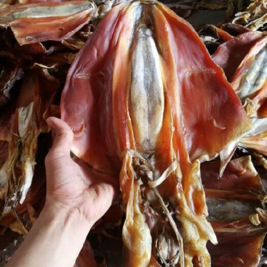 北海 墨鱼干，特大号，竹串墨鱼干，目鱼干