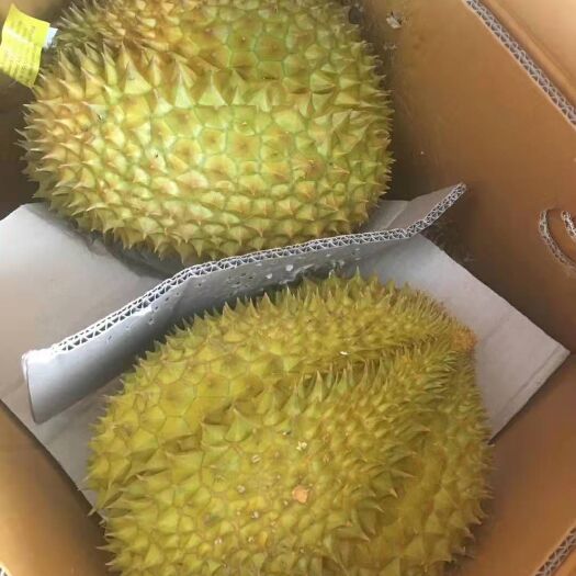 凭祥市泰国榴莲 泰国原产地，价格优惠，品质有保障，欢迎订购