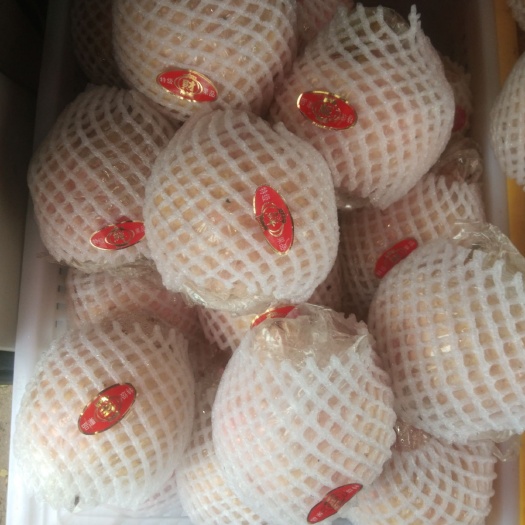 西安 精品临潼石榴电