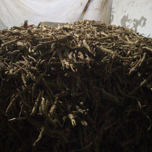 亳州亳州白芷 统货7吨