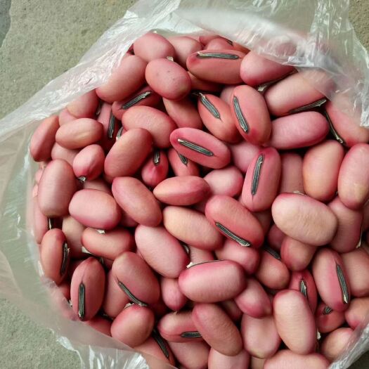 灵川县 新鲜刀豆，刀豆干，刀豆籽