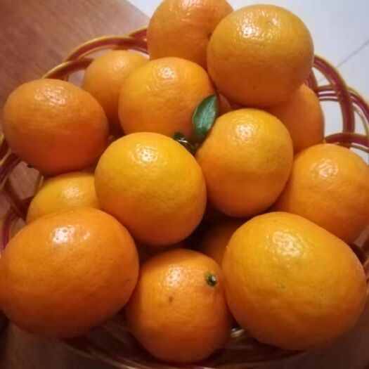 仁化县皇帝柑 有机质微量元素皇帝贡柑 清甜爽囗